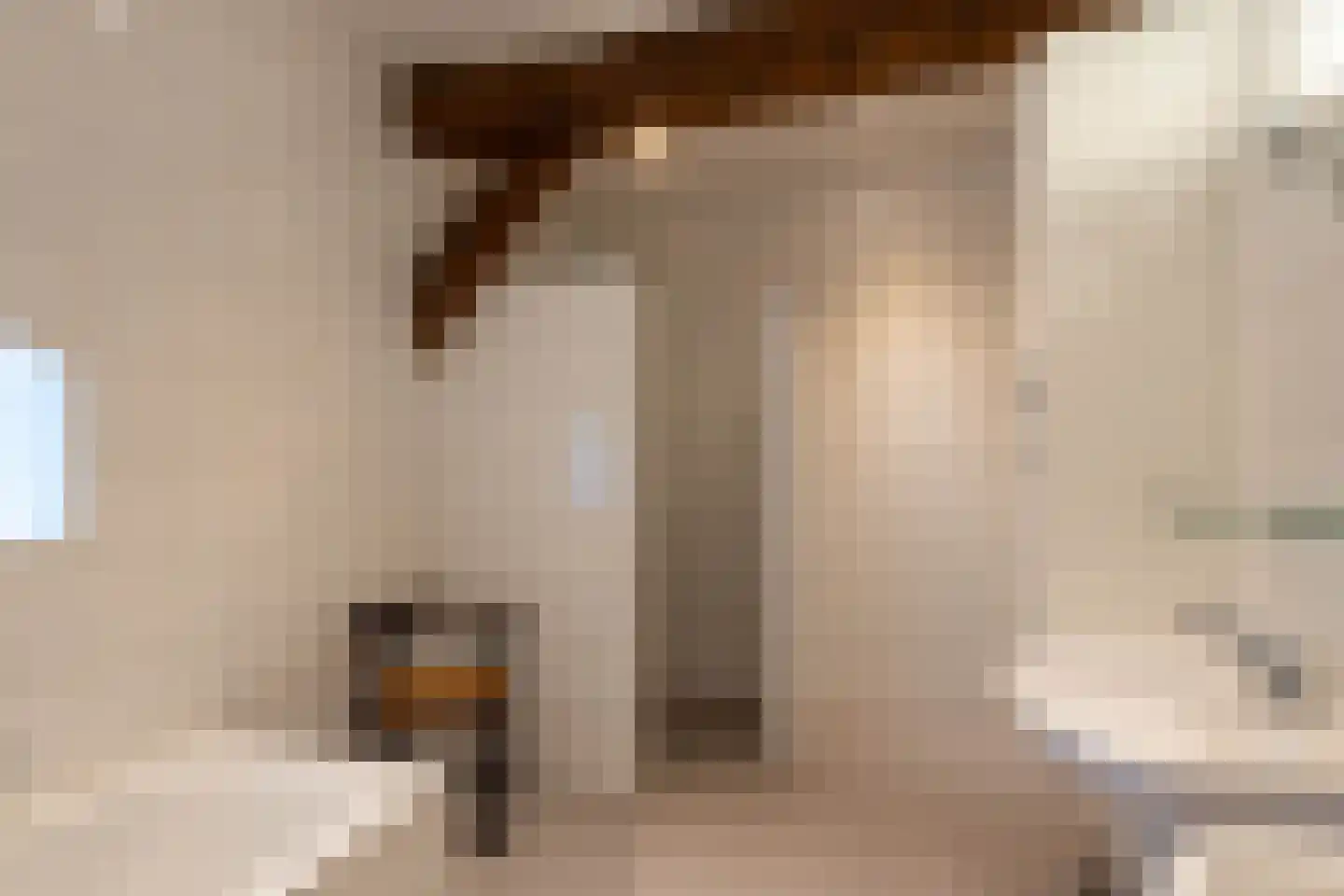 Lheebroek 14 Dwingeloo thumbnail 73