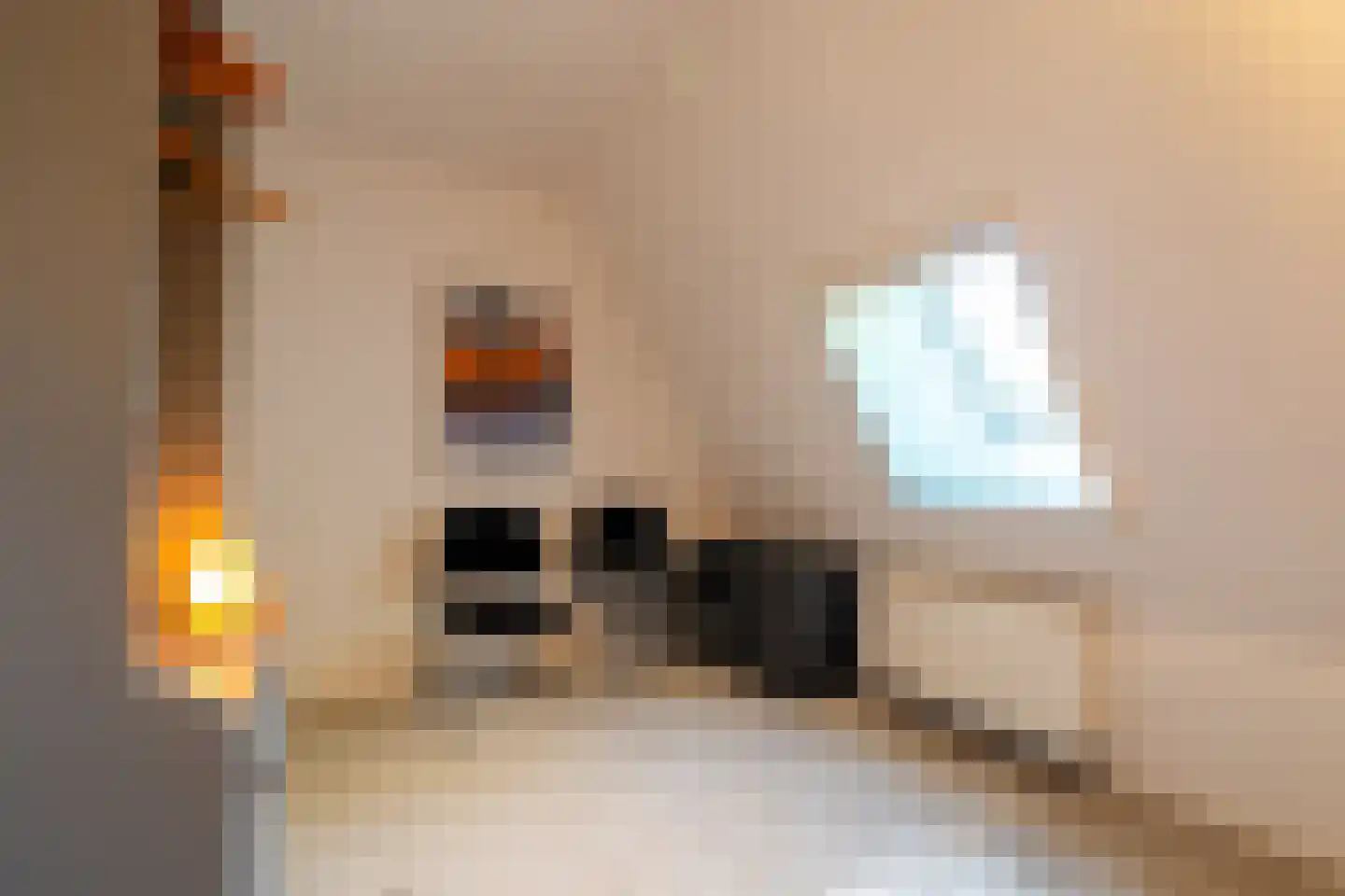 Lheebroek 14 Dwingeloo thumbnail 75