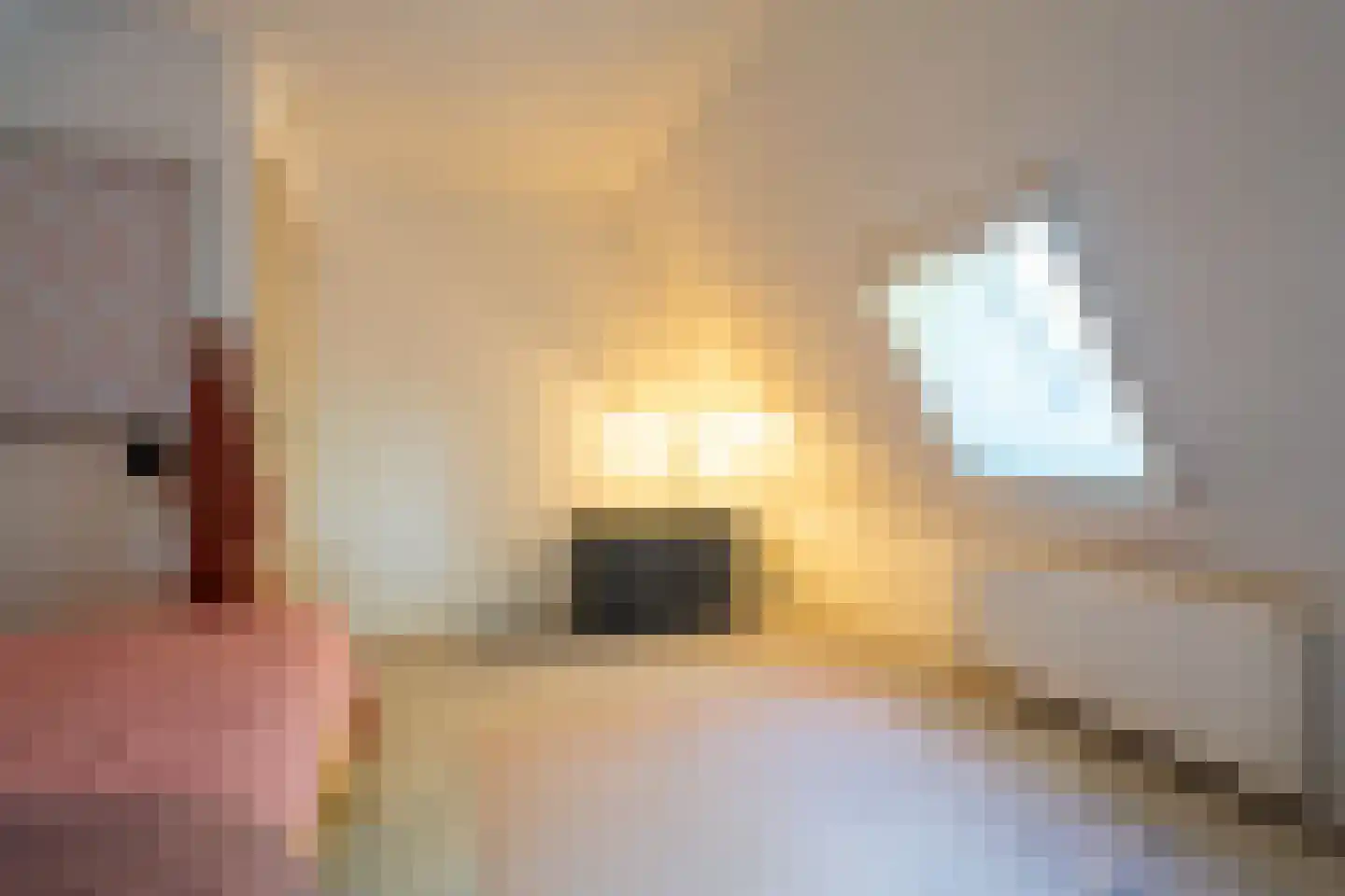 Lheebroek 14 Dwingeloo thumbnail 77