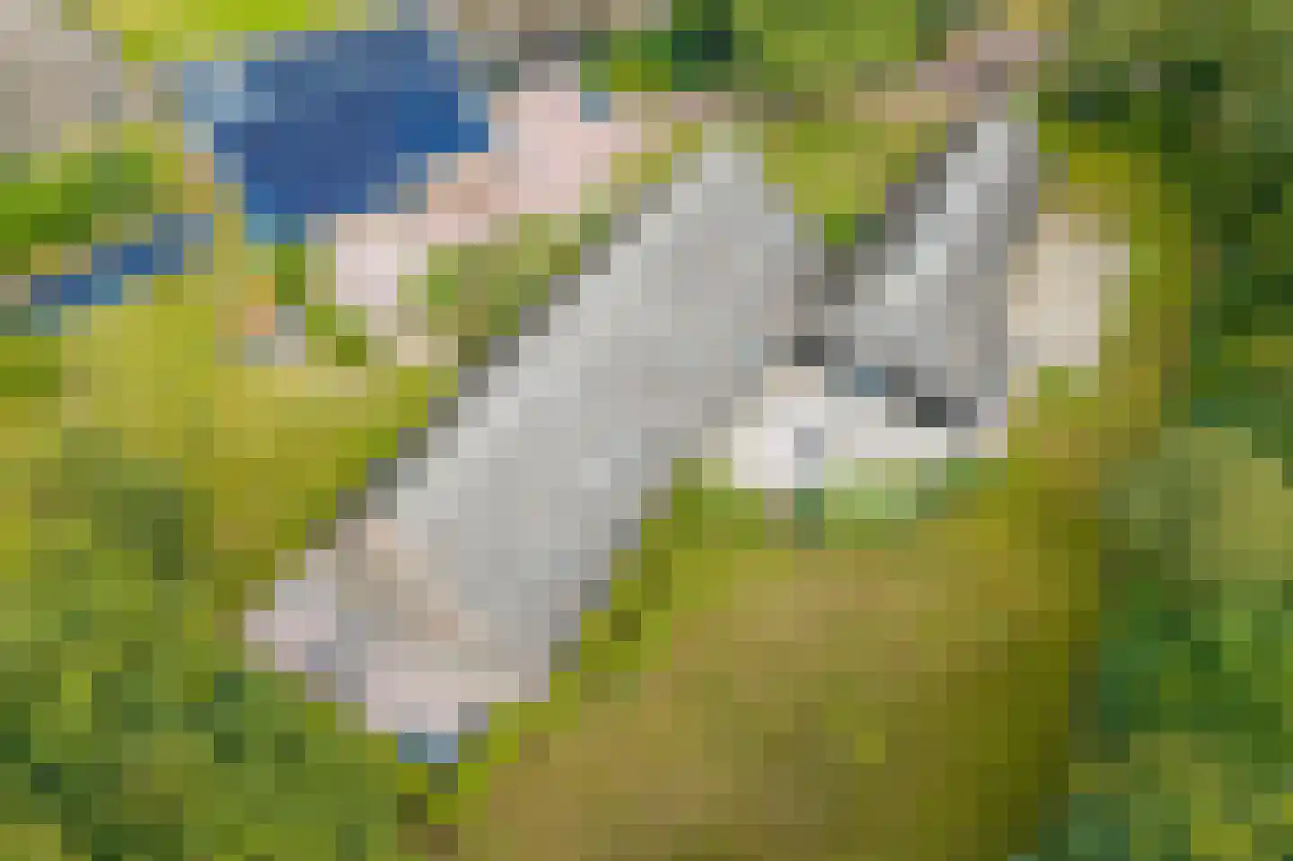 Lheebroek 14 Dwingeloo thumbnail 8