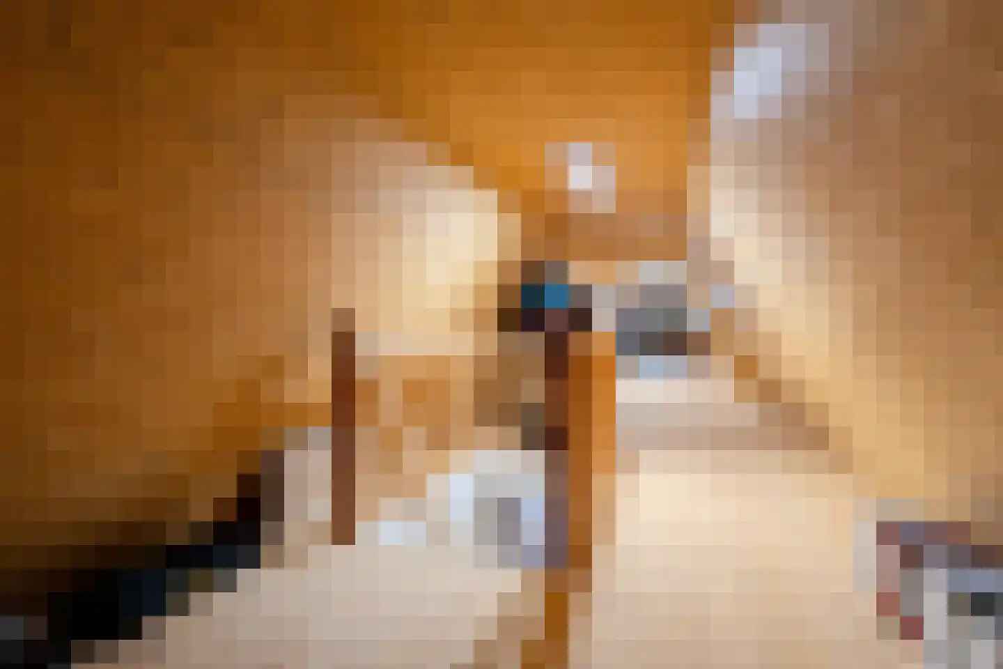 Lheebroek 14 Dwingeloo thumbnail 80