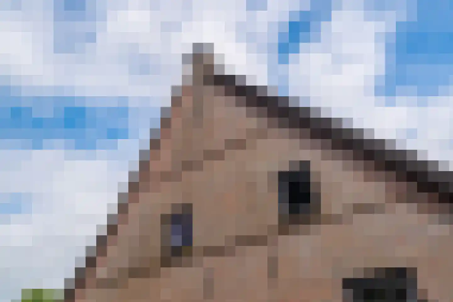 Lheebroek 14 Dwingeloo thumbnail 83