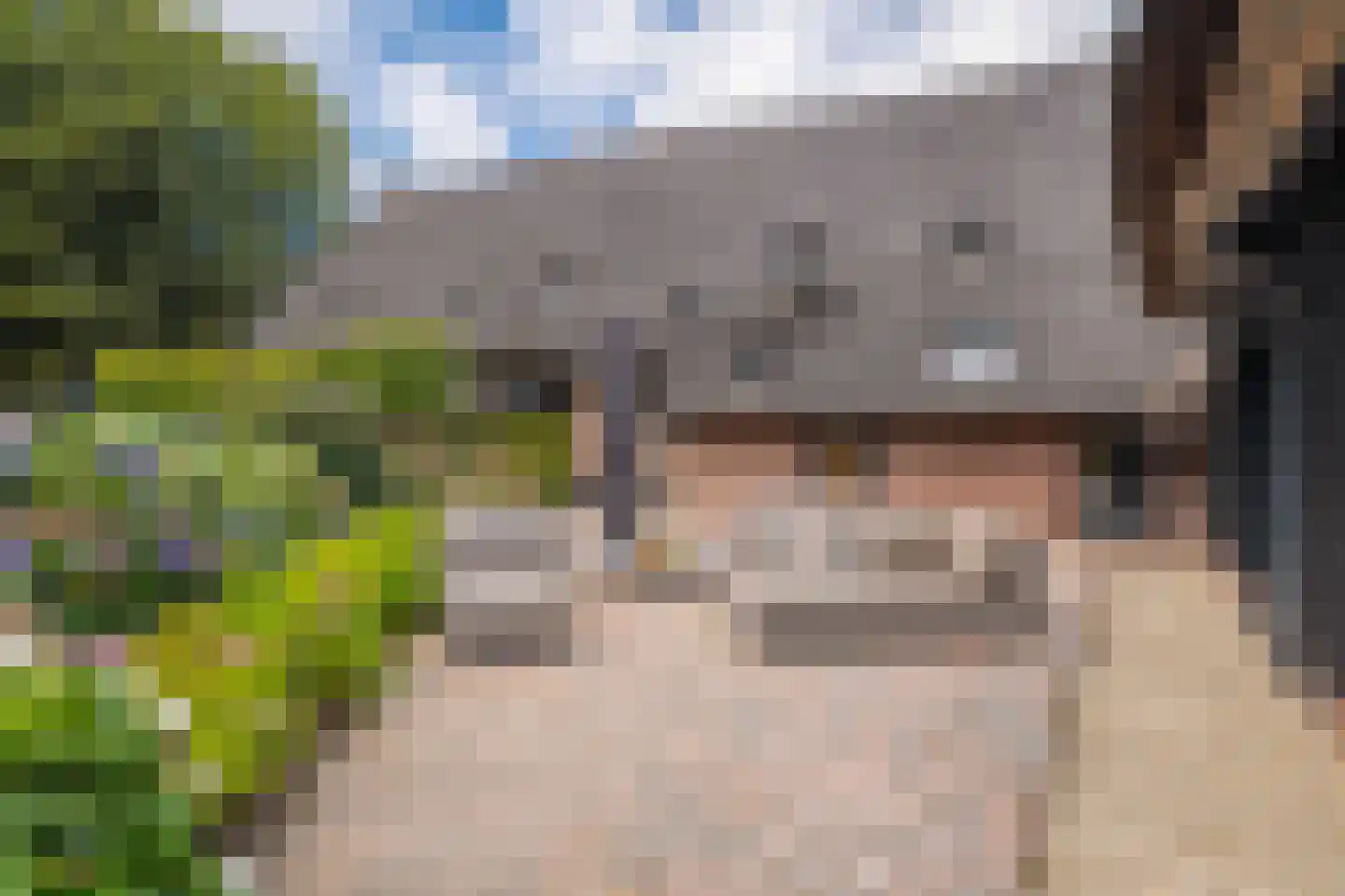 Lheebroek 14 Dwingeloo thumbnail 84