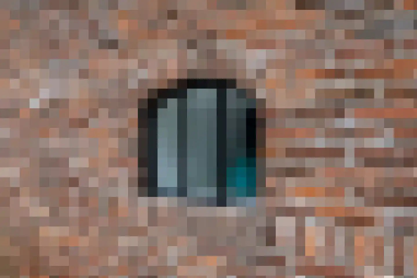 Lheebroek 14 Dwingeloo thumbnail 85