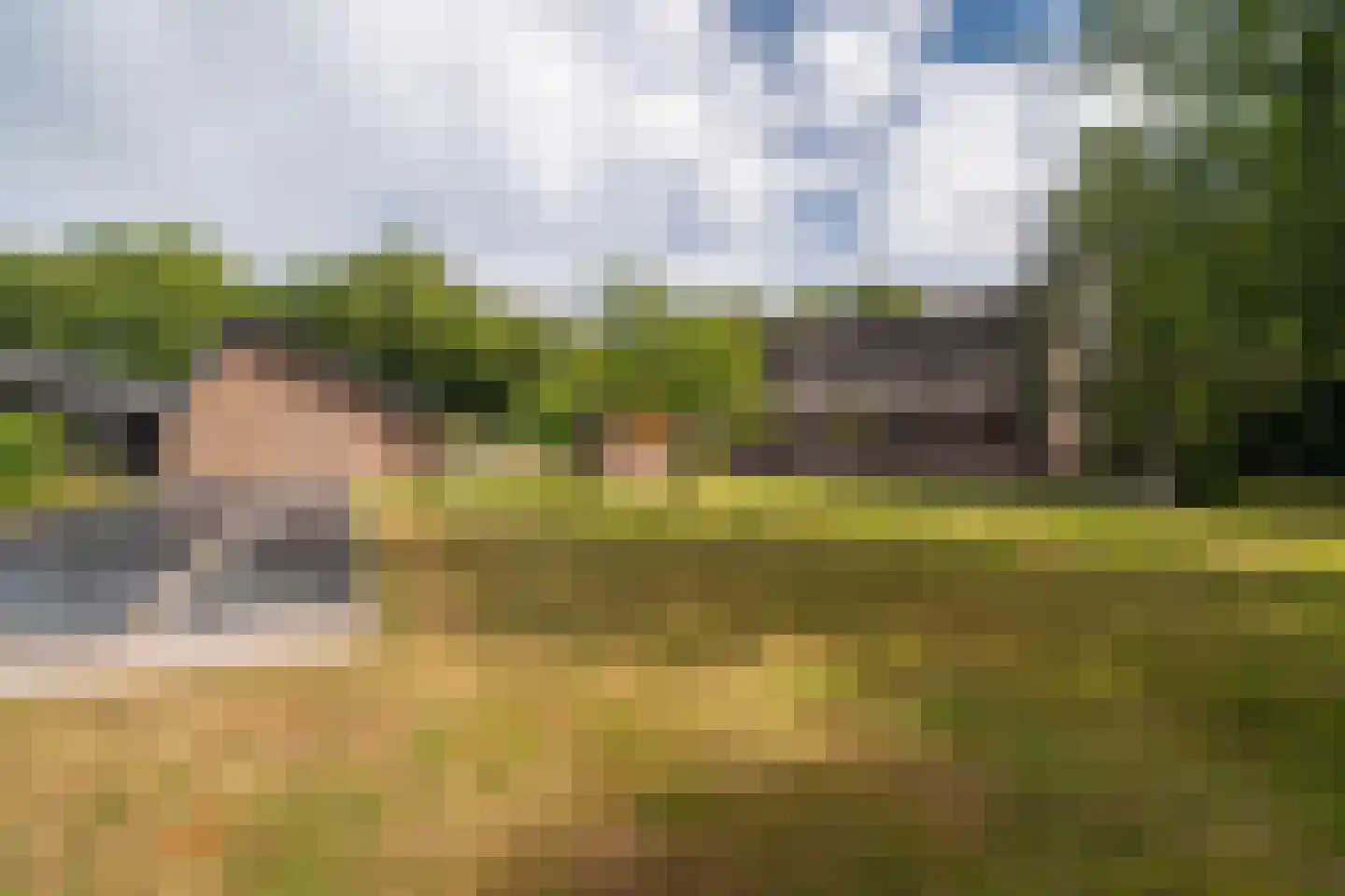 Lheebroek 14 Dwingeloo thumbnail 88