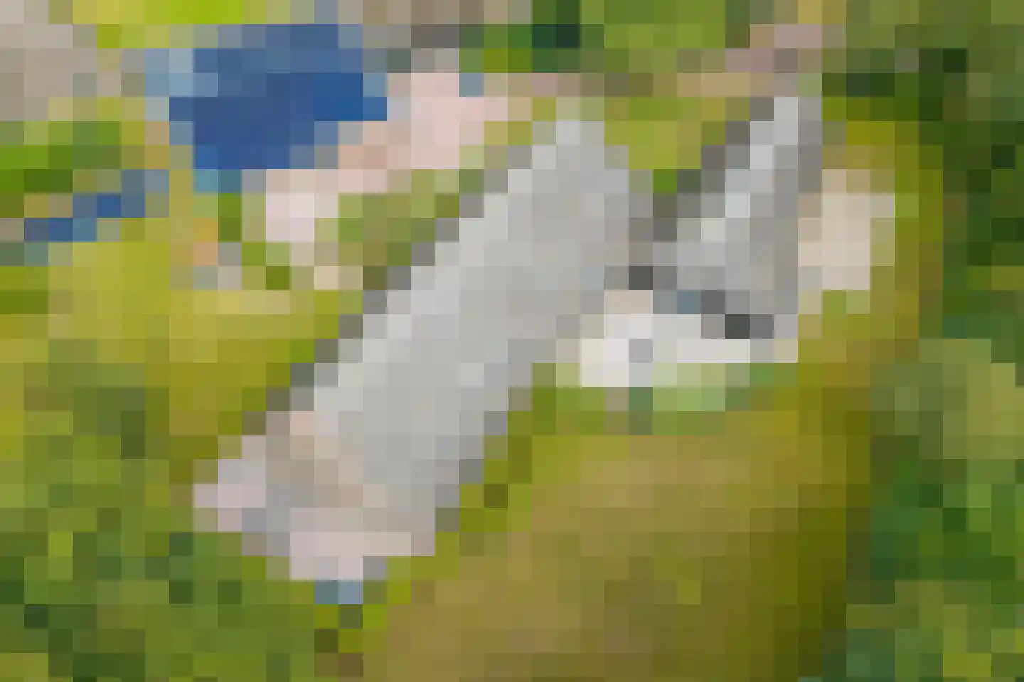 Lheebroek 14 Dwingeloo thumbnail 9