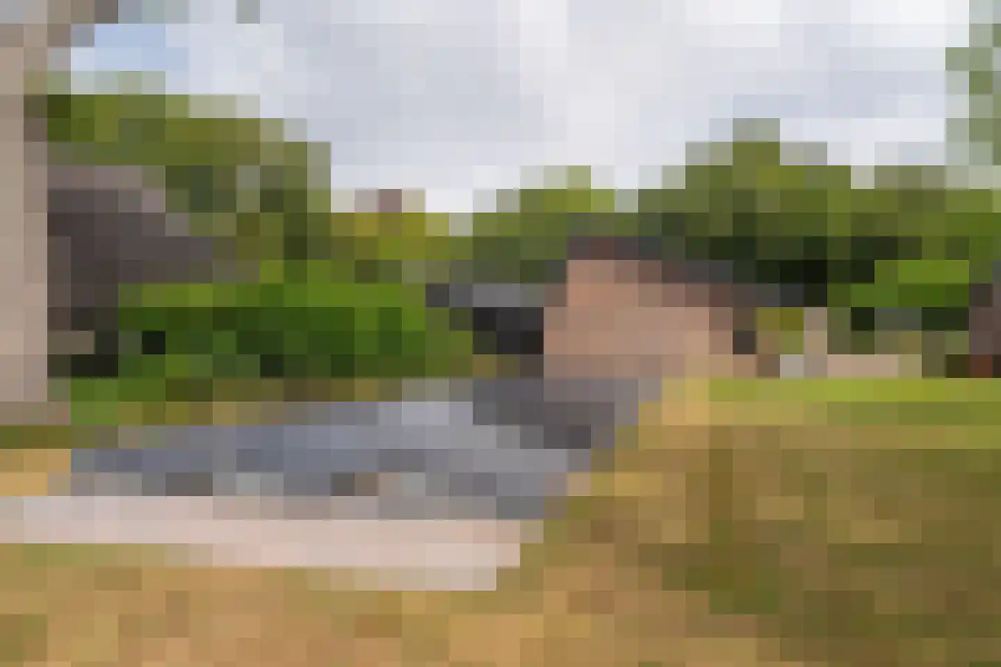 Lheebroek 14 Dwingeloo thumbnail 97