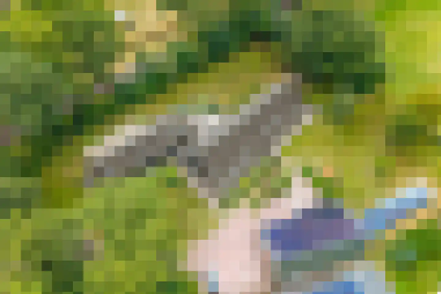 Lheebroek 14 Dwingeloo thumbnail 98