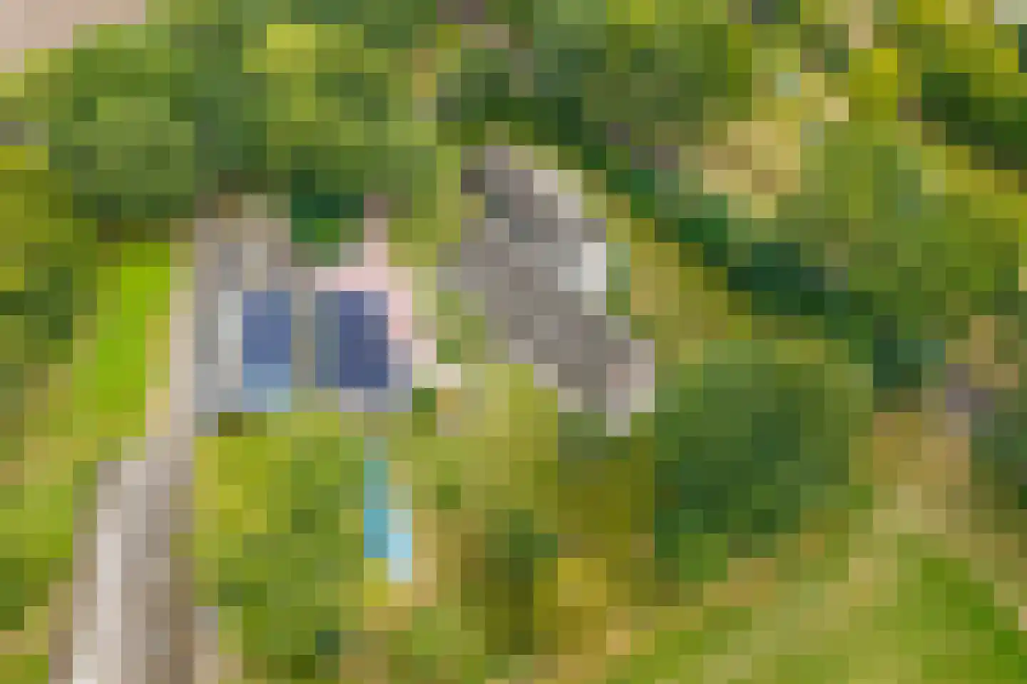 Lheebroek 14 Dwingeloo thumbnail 99