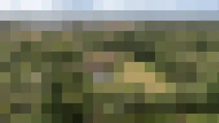 Lheebroek 29 in Dwingeloo