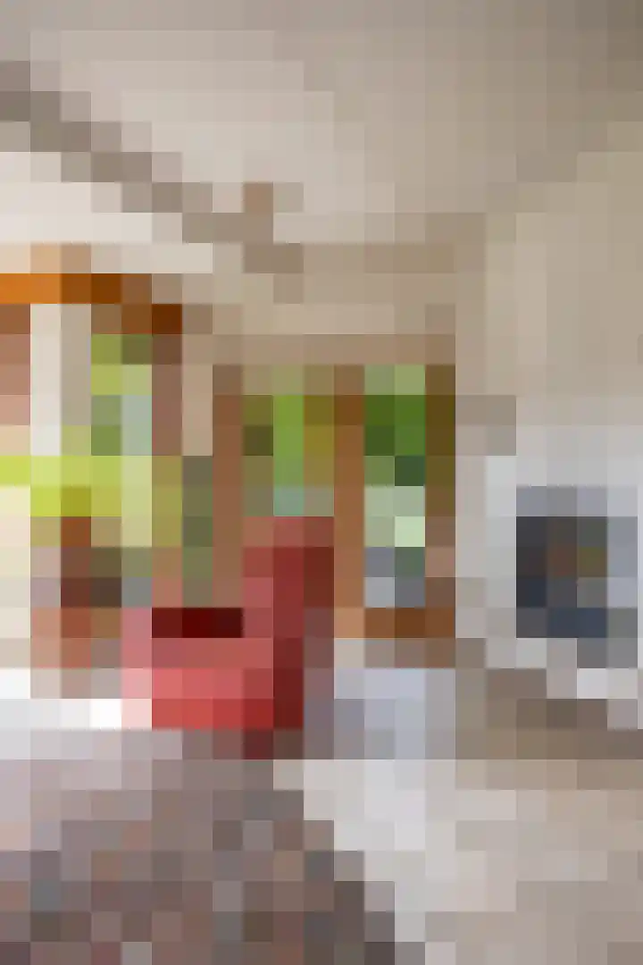 Lheebroek 29 Dwingeloo thumbnail 13