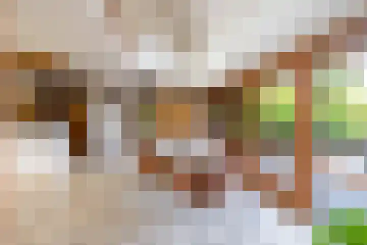 Lheebroek 29 Dwingeloo thumbnail 18