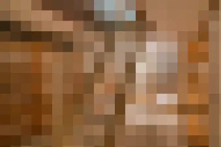 Lheebroek 29 Dwingeloo thumbnail 21