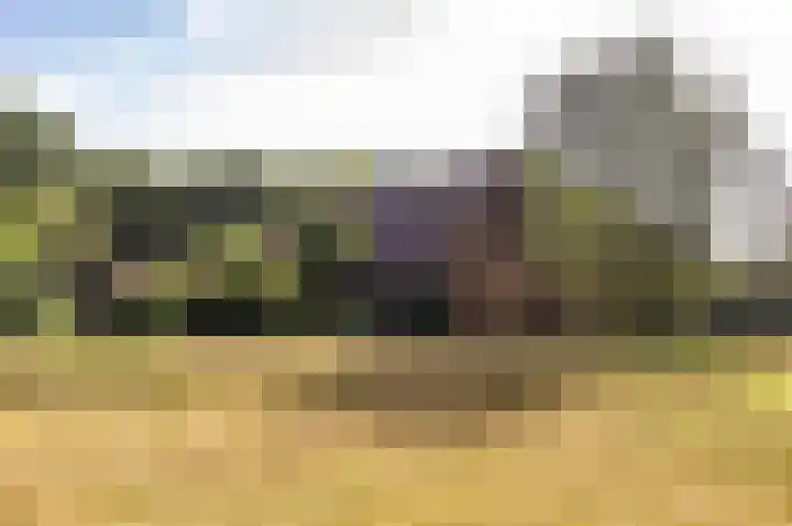 Lheebroek 29 Dwingeloo thumbnail 37