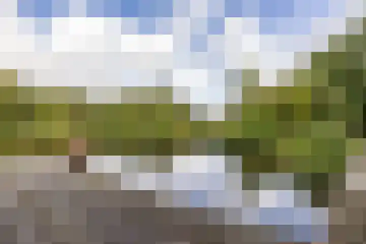 Lheebroek 29 Dwingeloo thumbnail 38