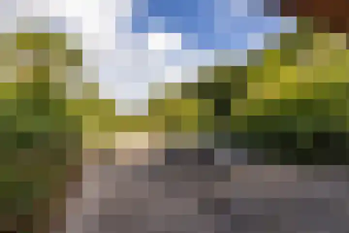 Lheebroek 29 Dwingeloo thumbnail 41