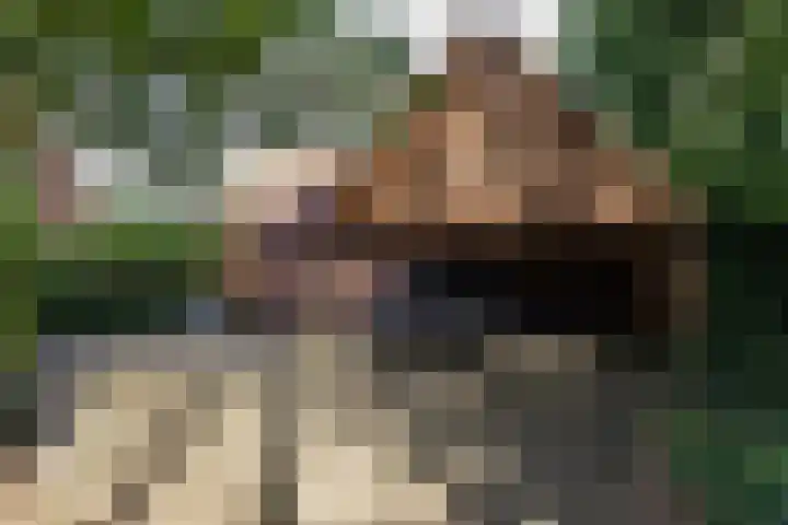 Lheebroek 29 Dwingeloo thumbnail 42