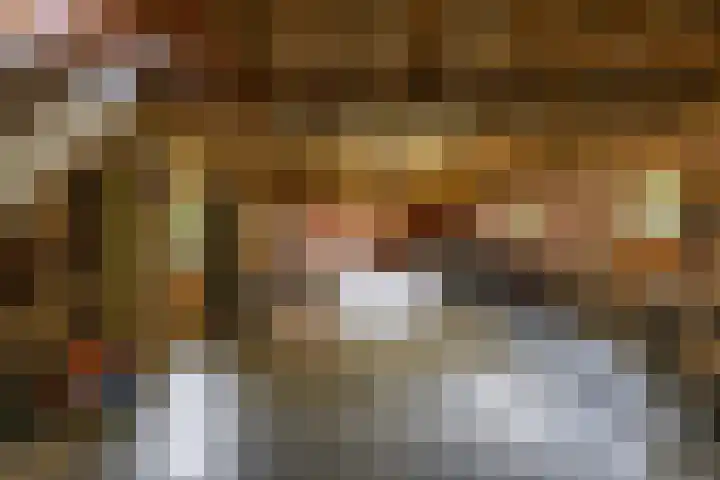 Lheebroek 29 Dwingeloo thumbnail 43