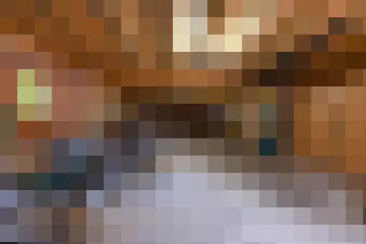 Lheebroek 29 Dwingeloo thumbnail 44