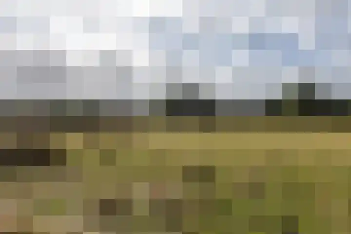 Lheebroek 29 Dwingeloo thumbnail 5