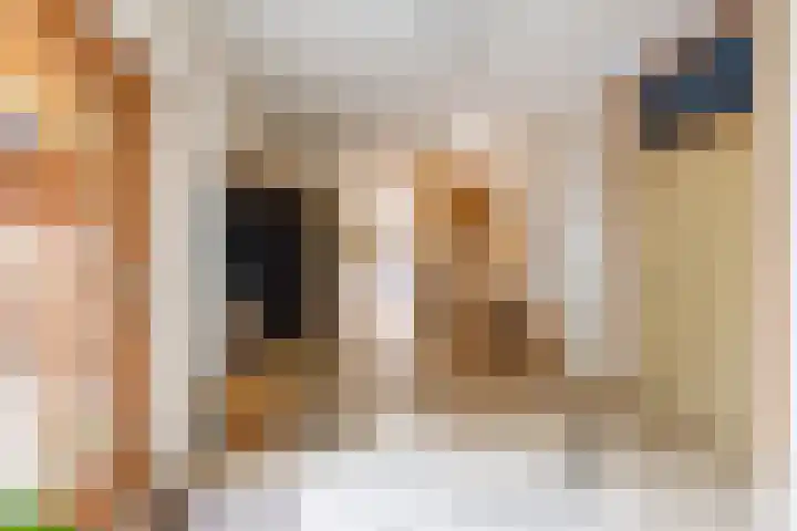 Lheebroek 29 Dwingeloo thumbnail 8