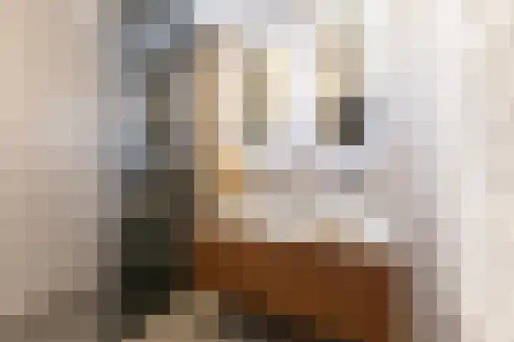Lia Doranastraat 10 Amsterdam thumbnail 5