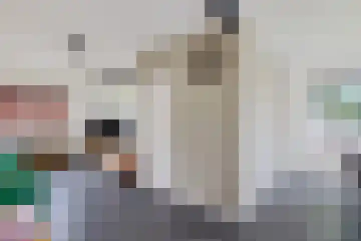 Liaslaan 2 Schoonebeek thumbnail 10