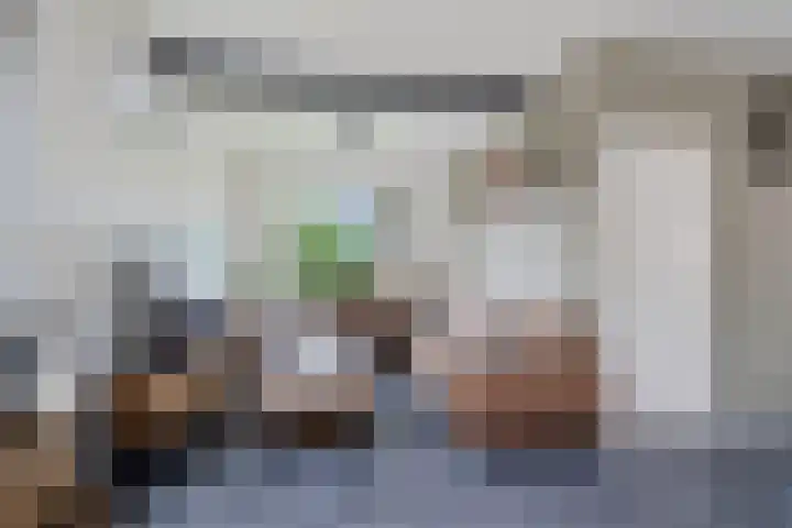 Liaslaan 2 Schoonebeek thumbnail 11