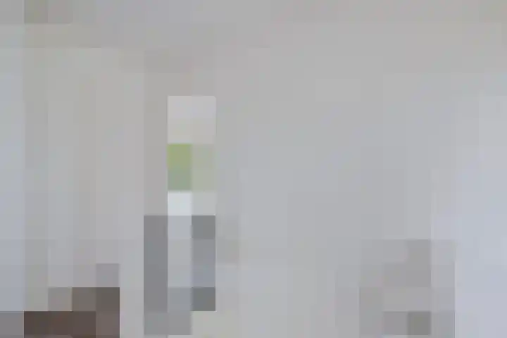 Liaslaan 2 Schoonebeek thumbnail 14