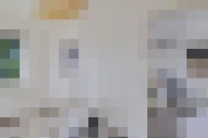 Liaslaan 2 Schoonebeek thumbnail 15
