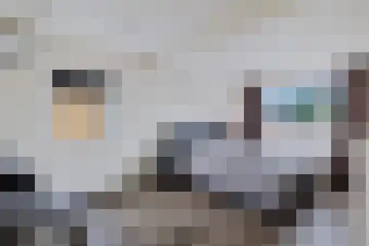 Liaslaan 2 Schoonebeek thumbnail 16