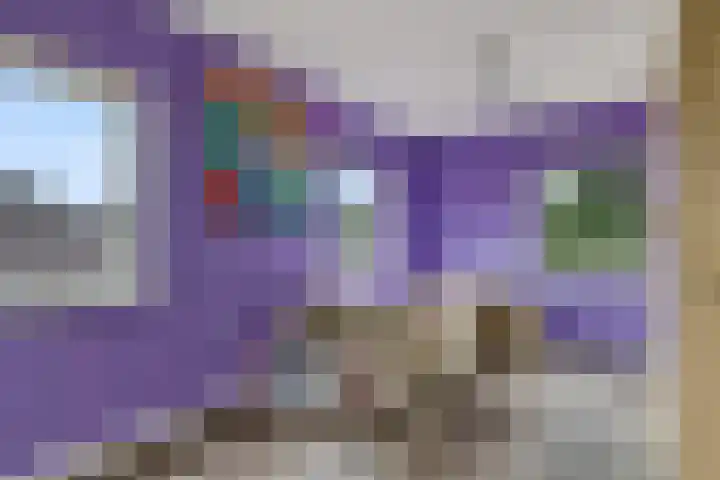 Liaslaan 2 Schoonebeek thumbnail 17