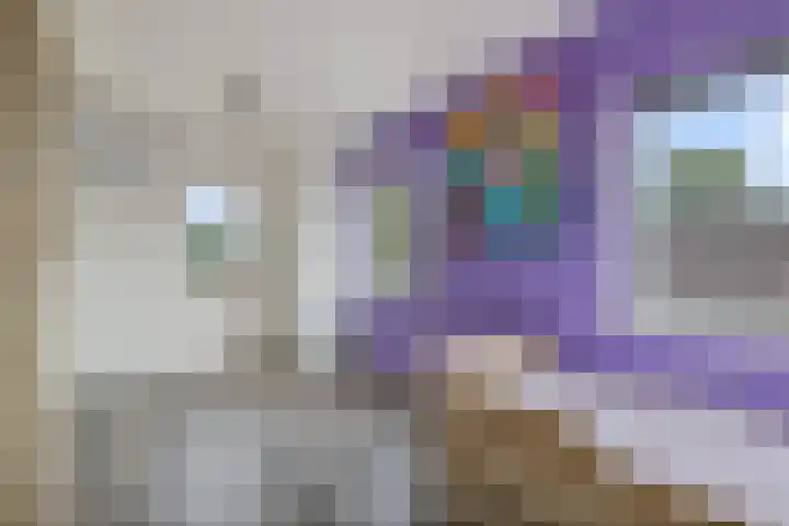 Liaslaan 2 Schoonebeek thumbnail 18