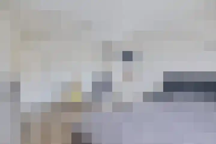 Liaslaan 2 Schoonebeek thumbnail 19
