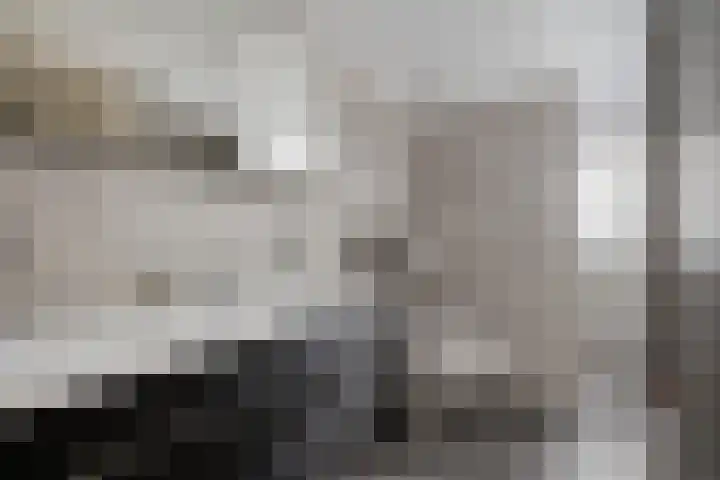 Liaslaan 2 Schoonebeek thumbnail 22
