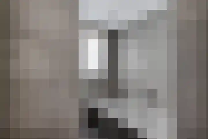 Liaslaan 2 Schoonebeek thumbnail 23