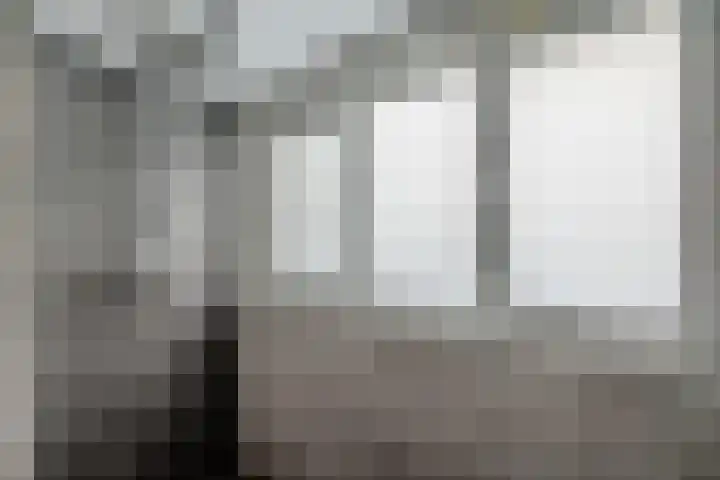 Liaslaan 2 Schoonebeek thumbnail 24