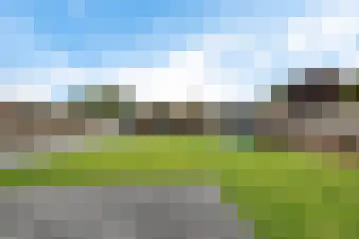 Liaslaan 2 Schoonebeek thumbnail 25