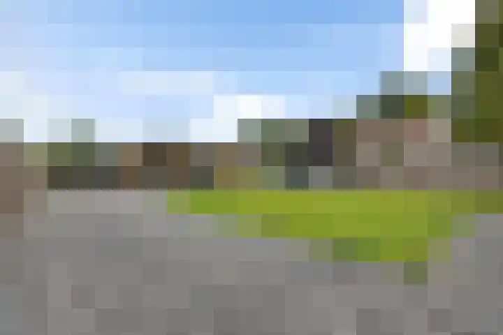 Liaslaan 2 Schoonebeek thumbnail 26
