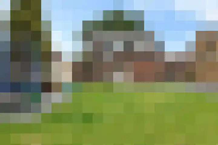 Liaslaan 2 Schoonebeek thumbnail 28
