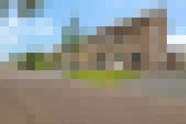 Liaslaan 2 Schoonebeek thumbnail 29