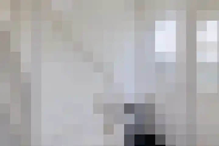 Liaslaan 2 Schoonebeek thumbnail 5