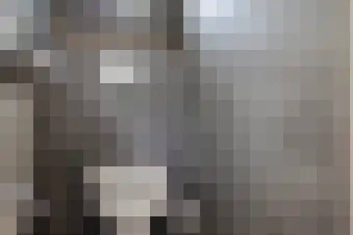 Liaslaan 2 Schoonebeek thumbnail 6