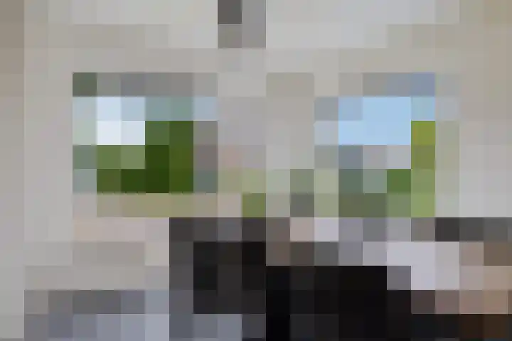 Liaslaan 2 Schoonebeek thumbnail 7