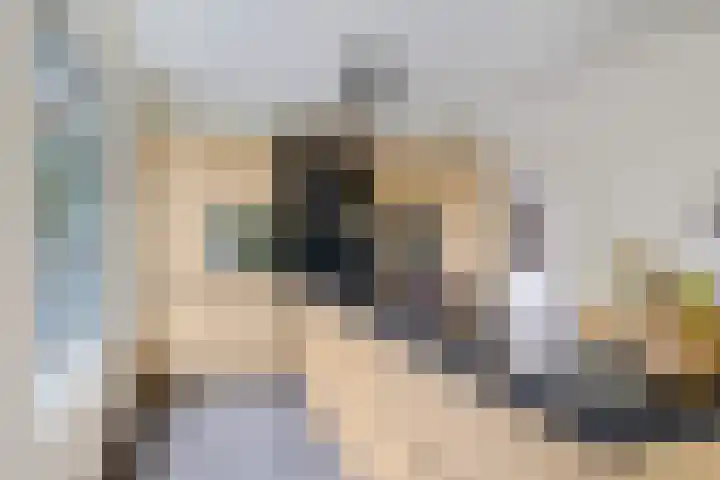 Liaslaan 2 Schoonebeek thumbnail 8