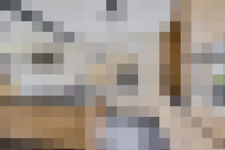 Liaslaan 2 Schoonebeek thumbnail 9