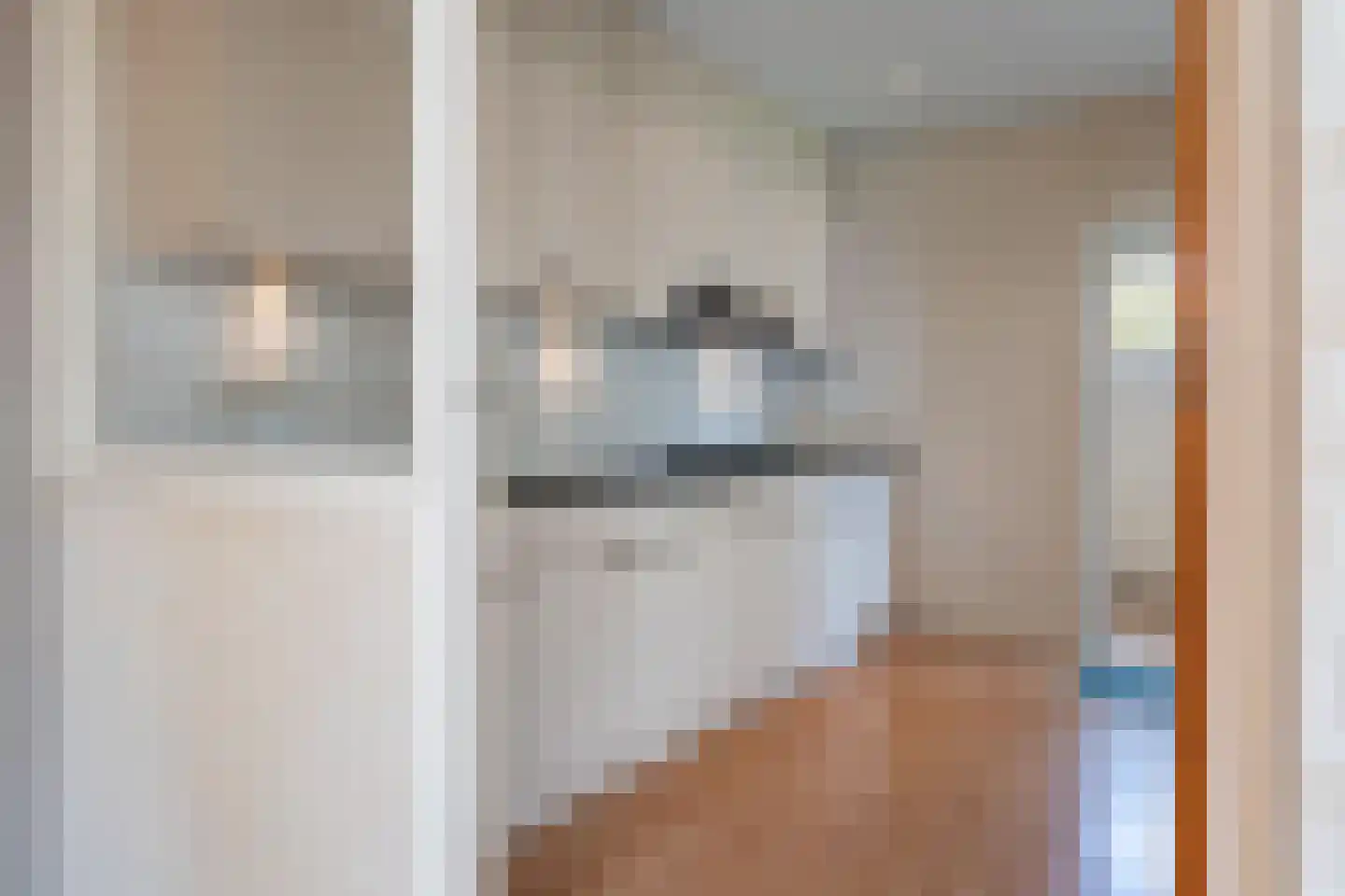 Liaslaan 6 Schoonebeek thumbnail 10