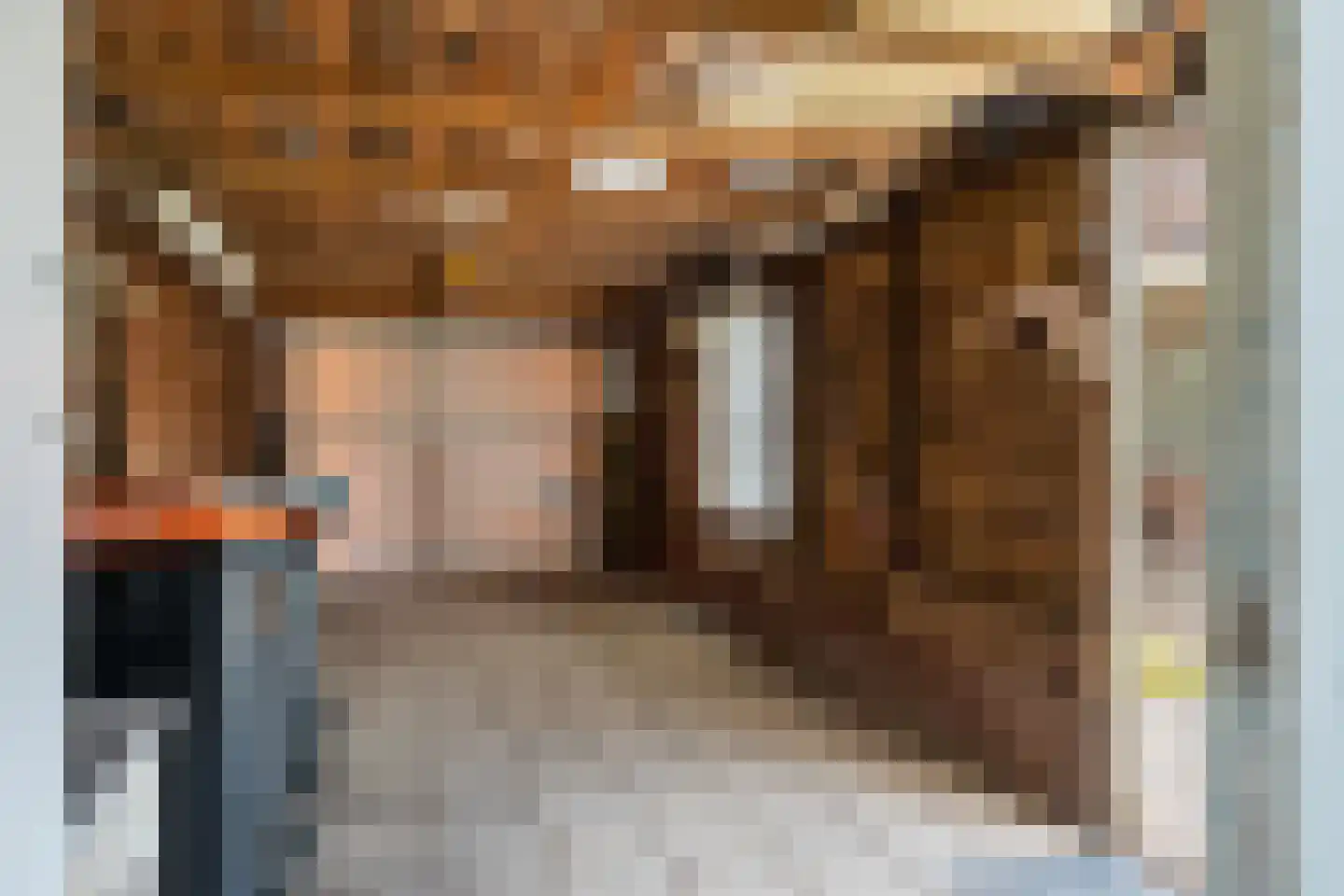 Liaslaan 6 Schoonebeek thumbnail 24