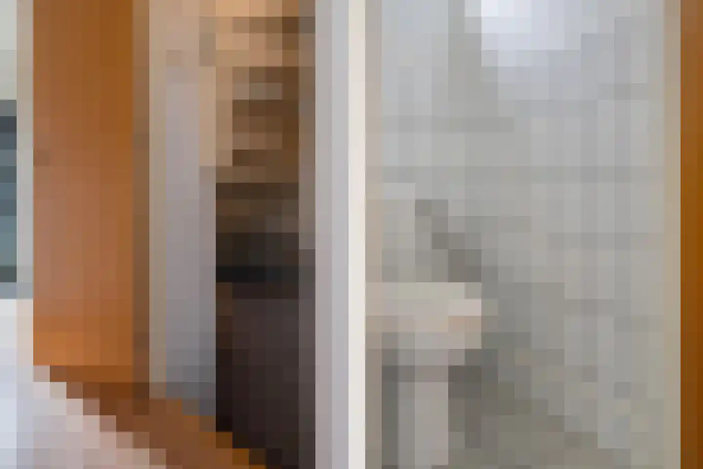 Liaslaan 6 Schoonebeek thumbnail 4