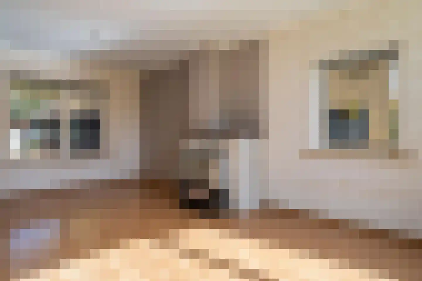 Liaslaan 6 Schoonebeek thumbnail 7